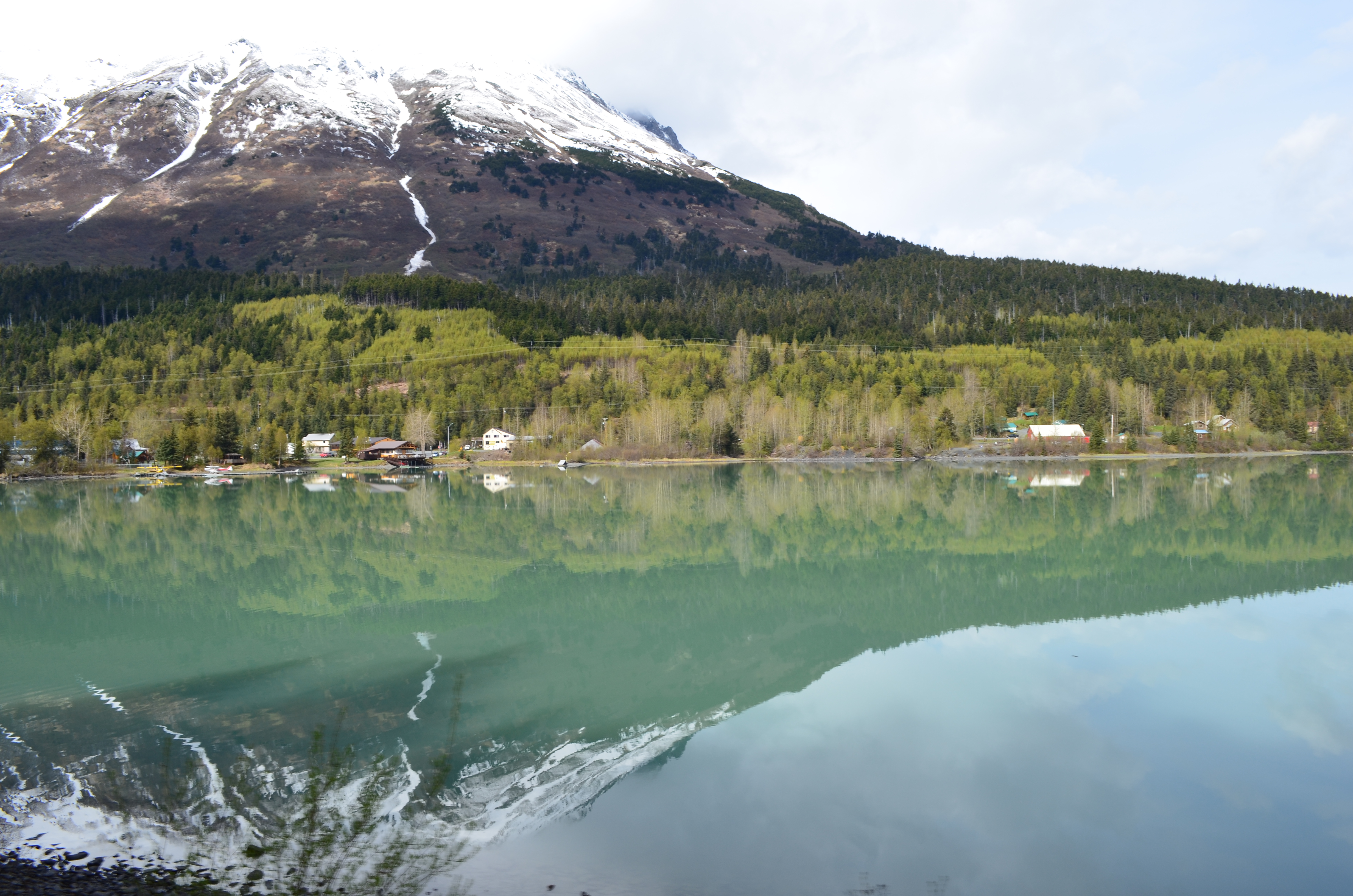 ./2017/08 - Alaska Cruise/05 - Train to Seward/DSC_0572.JPG